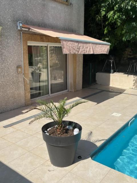 L'Appartement Du Micocoulier Салон дьо Прованс Екстериор снимка